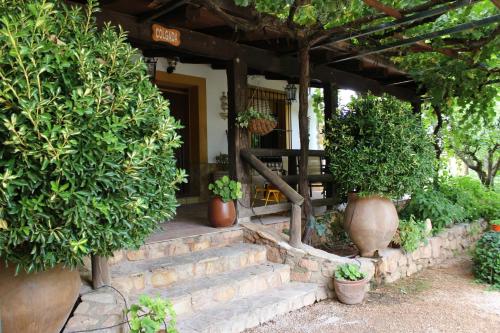 une terrasse couverte avec des plantes en pot sur les escaliers d'une maison dans l'établissement Casas de Madera Los Molinos, à Ossa de Montiel