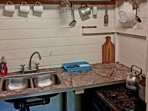 a kitchen counter with a sink and a stove at Cabaña enero soleado in Tigre