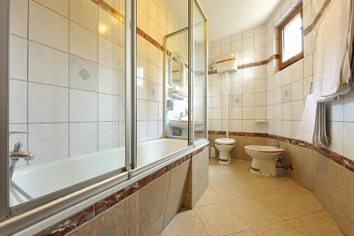 Hotel Sucevic Garni tesisinde bir banyo