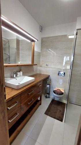 a bathroom with a sink and a toilet at Apartmán Thermalpark Dunajská Streda in Dunajská Streda