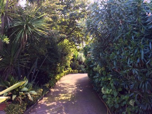 a path through a garden with trees and plants at Villa Nanda a 15 minuti da Roma piscina esclusiva , villa nella natura in Formello