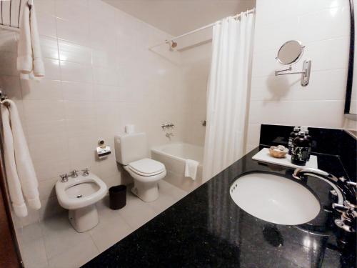 a bathroom with a toilet and a sink and a tub at Wyndham Garden Ushuaia Hotel del Glaciar in Ushuaia