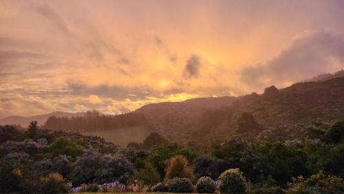 a sunset in the mountains with trees and flowers at Boutique Art Retreat in Upper Hutt