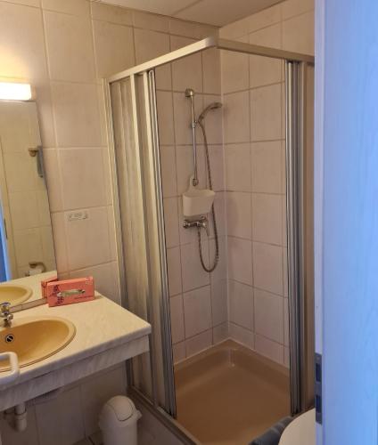 a bathroom with a shower and a sink at Hotel Stadt Witzenhausen in Witzenhausen