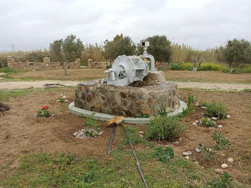 Gallery image of Eleonas I in Maragkas