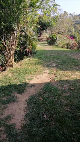a dirt path in a field with trees and grass at Loma Bonita in Lérida