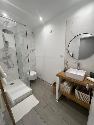 une salle de bain avec une douche, un lavabo et un miroir dans l'établissement Appartement Centre Ville Dea, à Ajaccio