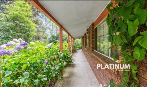 Κήπος έξω από το Peace Resorts - Jervis Bay Holiday Cabins in Sussex Inlet