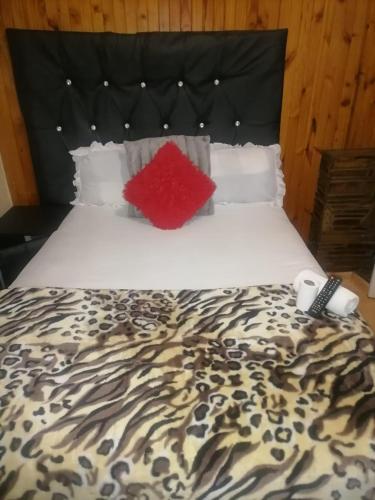 a bed with a black headboard and a red pillow at Guest room florida in Roodepoort