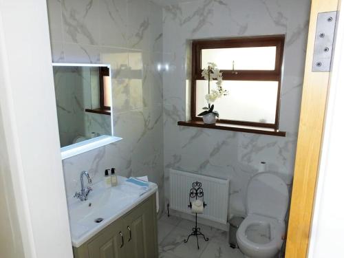 een badkamer met een wastafel, een toilet en een spiegel bij The Cosy Farm Cottage, Donegal in Inver
