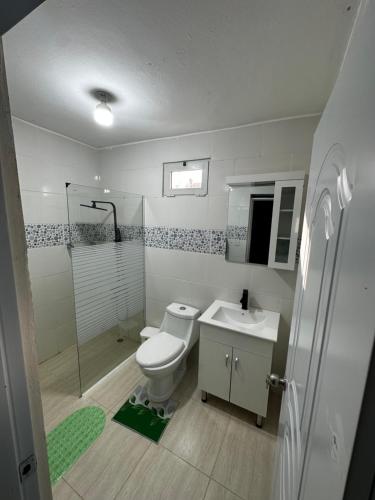 ナグアにあるHotel Mi Dulce Amanecer PyRのバスルーム(トイレ、洗面台、シャワー付)