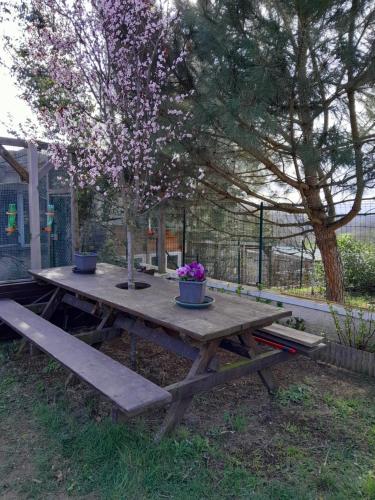 a picnic table with two potted plants and a tree at CHAMBRES D HÔTES AU P'TIT BONHEUR CAMPAGNARD in Jarnosse