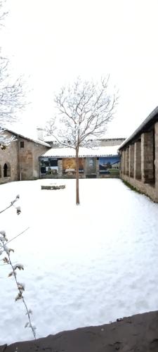 a tree in a yard covered in snow at Hospedería SANTA FE in Epároz