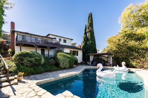 two swans swimming in a pool in front of a house at Spacious and Bright 5-Bedroom Oasis Pool and Yard in La Mesa