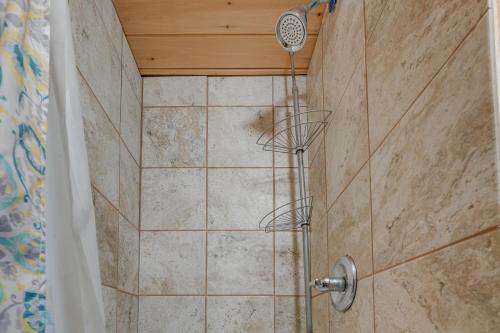 a shower with a shower head in a bathroom at Eagles Nest Studio in Rising Fawn Creek Access in Rising Fawn