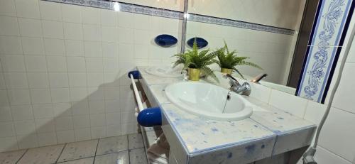 La salle de bains est pourvue d'un lavabo et d'un miroir. dans l'établissement Casa Alameda El Paso, à El Paso