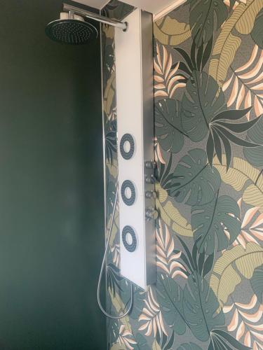 um chuveiro na casa de banho com papel de parede floral em Le Rooftop d’Isa em Colombelles
