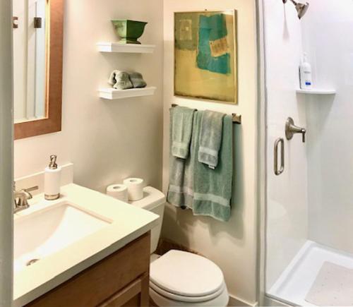 a bathroom with a sink and a toilet and a shower at The Boat House in Guerneville
