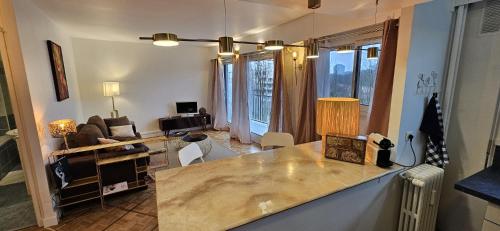 a kitchen and living room with a large counter top at Studio chaleureux avec vue sur la Seine in Boulogne-Billancourt
