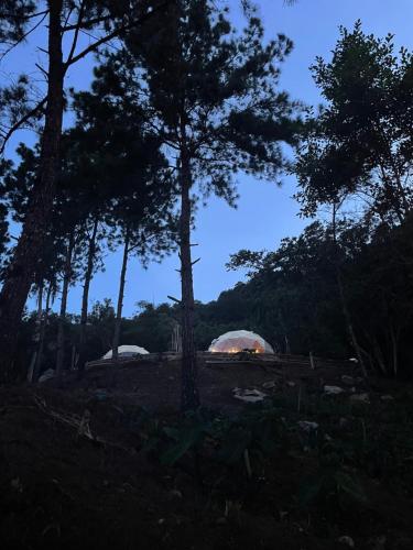 a tent in the middle of a forest with trees at NOMAD Domes Sky Watching at Jarabacoa in Jarabacoa