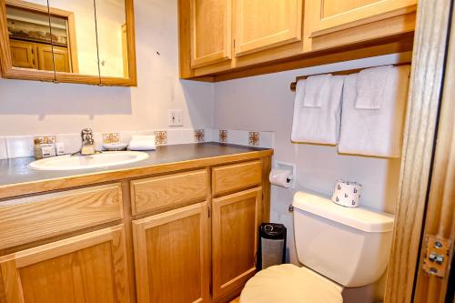 a bathroom with a toilet and a sink at Brookings Bliss in Brookings