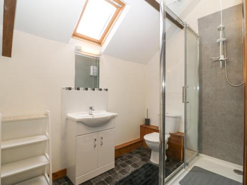 La salle de bains est pourvue de toilettes, d'un lavabo et d'une douche. dans l'établissement Stable 2, à Llanbedrog