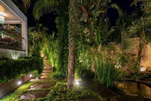 een tuin met een palmboom en verlichting bij Hotel Molino Garden in Chefchaouene