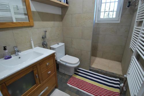 ein Badezimmer mit Toilette, Waschbecken und Dusche in der Unterkunft Villa Vista Segaria in El Verger