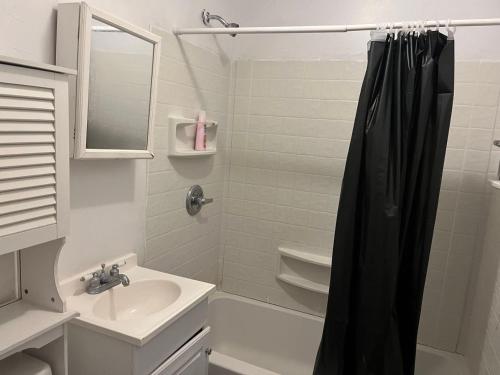 a bathroom with a shower curtain and a sink at 2131 in Philadelphia