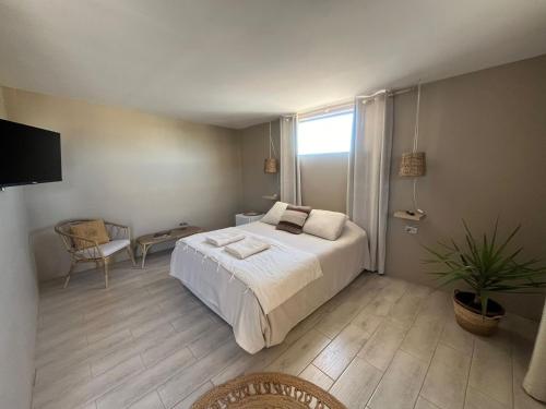 a bedroom with a bed and a tv in it at Casa Andes in San Pedro de Atacama