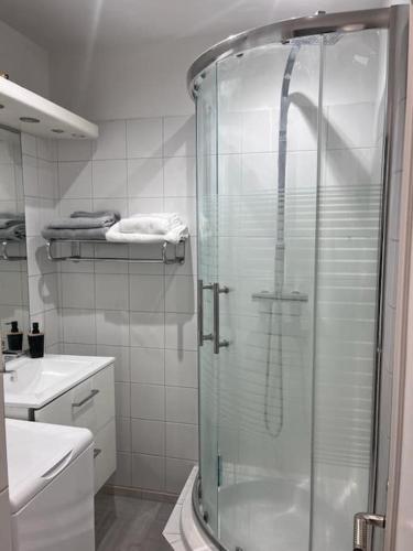 uma casa de banho com um chuveiro e uma porta de vidro em Très bel appart à 2mns du Metro et du Canal/Parc em Pantin