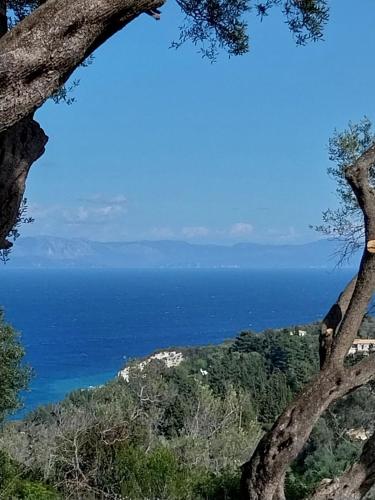 a view of the ocean from a tree at Apervill Luxury House in Apergátika