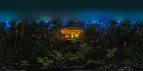 Puyu Glamping في Tarqui: مبنى في وسط غابة في الليل