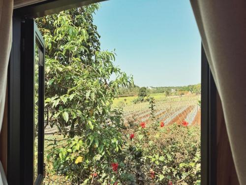 ein Fenster mit Blick auf einen Garten mit roten Blumen in der Unterkunft XOM Organic Farm Stay in Pleiku