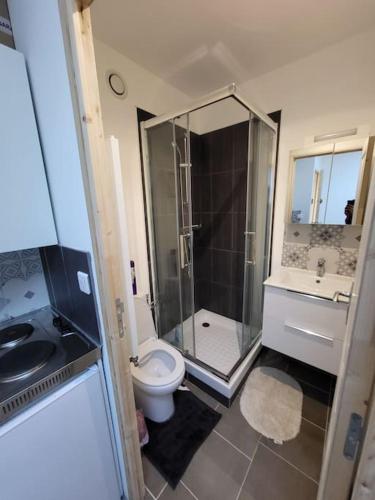 une salle de bain avec une douche, des toilettes et un lavabo dans l'établissement appartement cosy et chaleureux, à Amiens