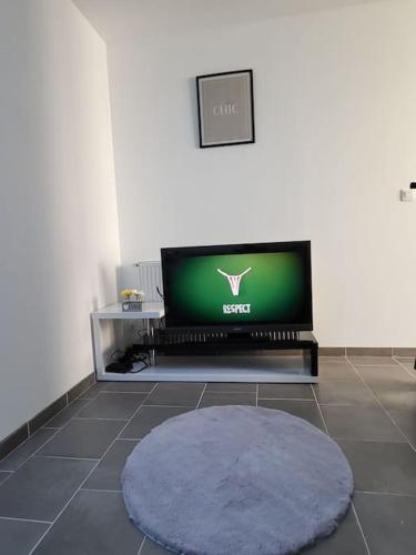 - un salon avec une télévision et un tapis violet dans l'établissement appartement cosy et chaleureux, à Amiens