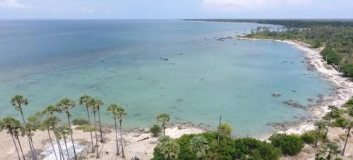 an aerial view of a beach with palm trees at Delft Jungle Beachfront Villa in Delft East