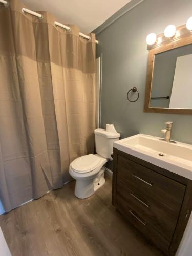 ein Badezimmer mit einem WC, einem Waschbecken und einem Spiegel in der Unterkunft 23 B ST APARTMENTS in Hampton