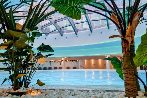 a swimming pool with a palm tree in a building at Hanza Tower Apartment no. 701 - Swimming pool, jacuzzi, terrace in Szczecin