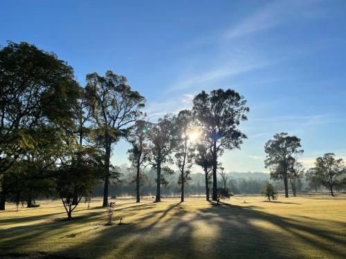 a group of trees in a field with the sun behind them at Copper Creek Retreat - sleep next door to the Lions in Lovedale