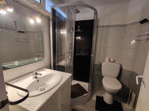 a bathroom with a toilet and a sink and a shower at Studio Argelès-sur-Mer, 1 pièce, 4 personnes - FR-1-776-69 in Argelès-sur-Mer