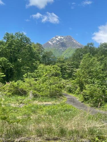 a dirt road with a mountain in the background at Myoko Casa in Myoko