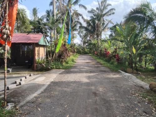 eine leere Straße vor einem Haus mit Palmen in der Unterkunft Bali Gems Cabin in Tabanan