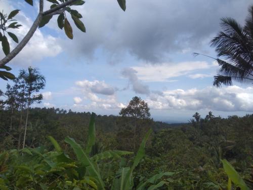 uma vista para uma selva com árvores e nuvens no céu em Bali Gems Cabin em Tabanan