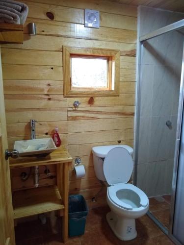 a bathroom with a toilet and a sink and a shower at CABAÑA MINCHY in Mazamitla