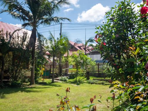 a garden with palm trees and houses at Hospedaje Cattleya in Oxapampa