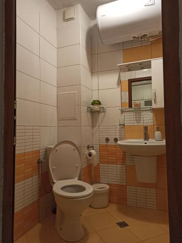 a bathroom with a toilet and a sink at Sunny Hill Sandanski in Sandanski