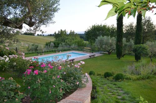 馬薩馬爾塔納的住宿－Umbrian Holiday on the enchanting hills of Todi!，花园里的游泳池,花粉色