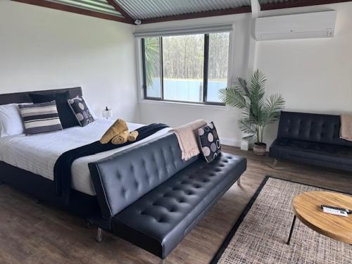 a bedroom with a bed and a black leather couch at Wallaby Lodges in Pokolbin