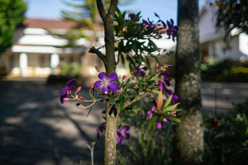 Giardino di Marlihill Bungalow - A CGH Earth SAHA Experience